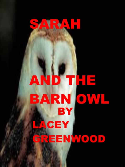 Sarah and the Barn Owl