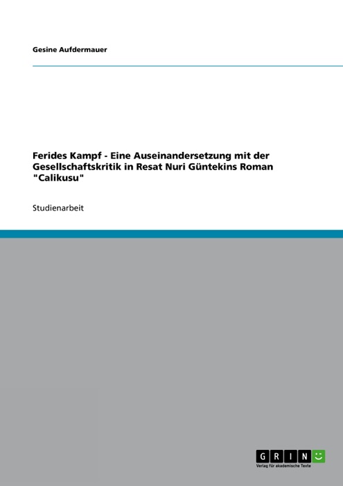 Ferides Kampf - Eine Auseinandersetzung mit der Gesellschaftskritik in Resat Nuri Güntekins Roman 