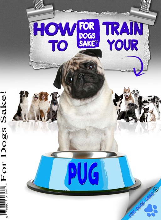 How to Train Your Pug