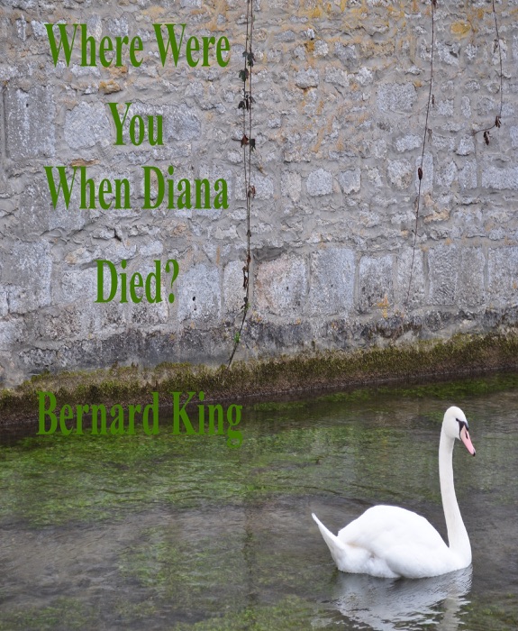 Where Were You When Diana Died