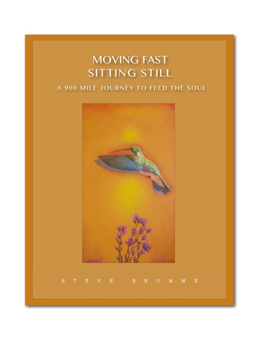 Moving Fast Sitting Still - A 900 Mile Journey To Feed The Soul