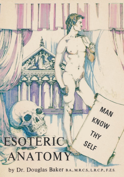 Esoteric Anatomy - Part One