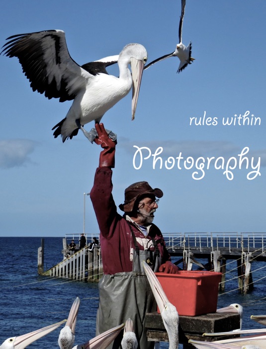 Rules within Photography