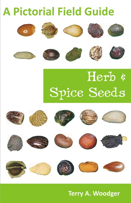 Herb and Spice Seeds