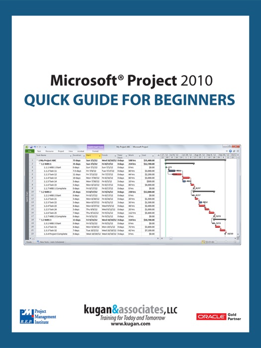 Microsoft Project 2010 Quick Guide for Beginners