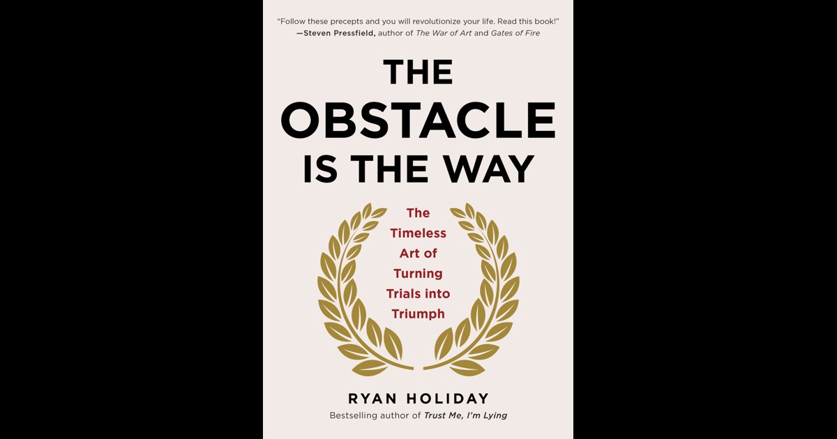 the obstacle is the way review