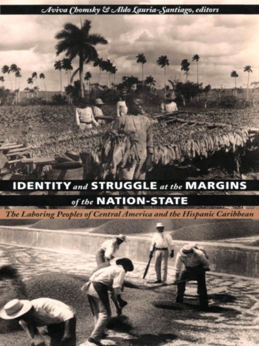 Identity and Struggle at the Margins of the Nation-State