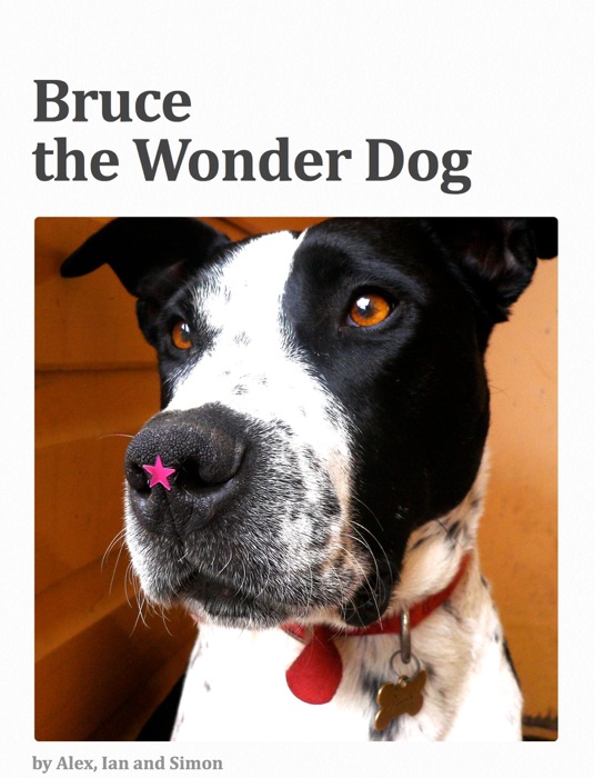 Bruce the Wonder Dog