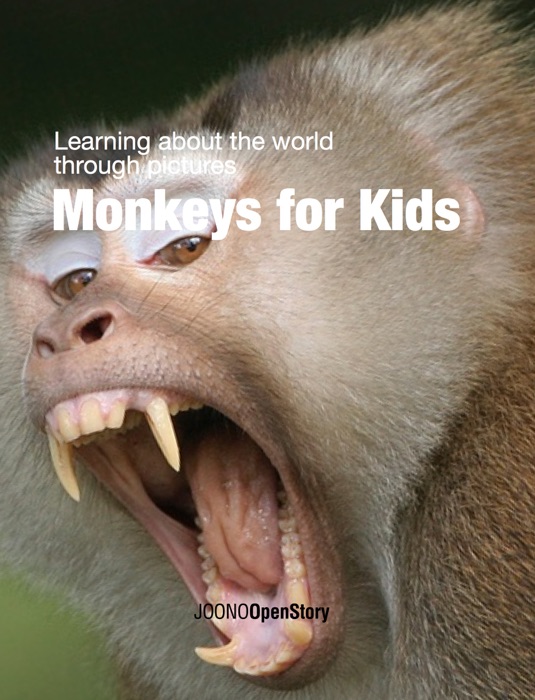 Monkeys for Kids