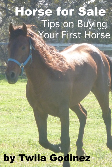 Horse for Sale:  Tips for Buying Your First Horse