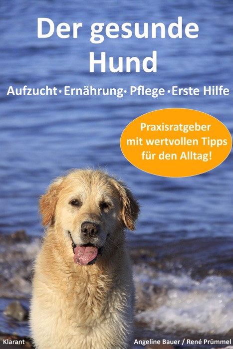 Der gesunde Hund