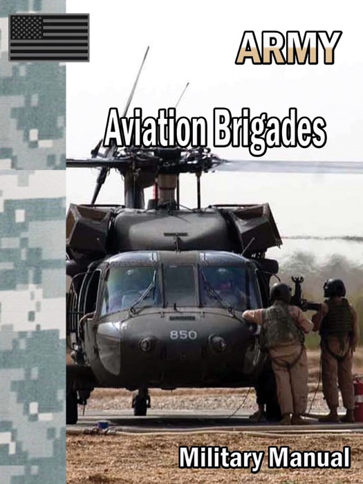 Aviation Brigades