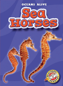 Sea Horses - Ann Herriges