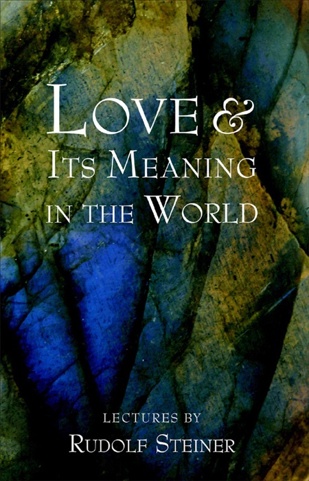 Love and Its Meaning In the World