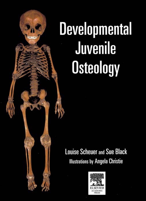 Developmental Juvenile Osteology