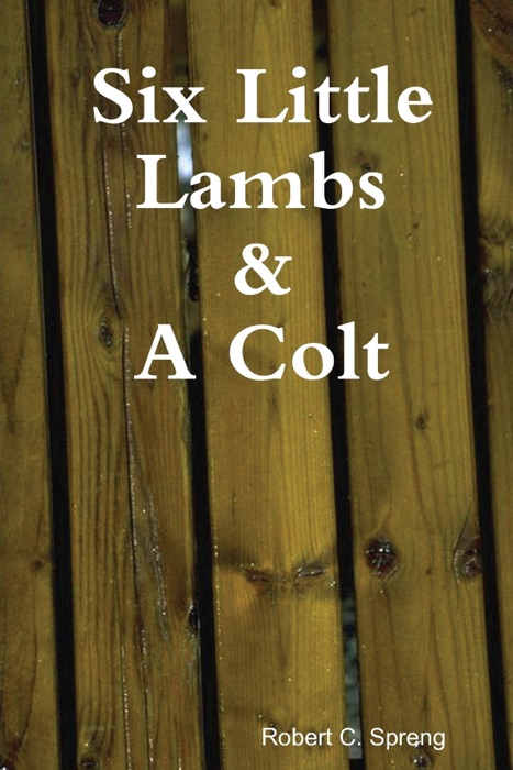 Six Little Lambs & a Colt