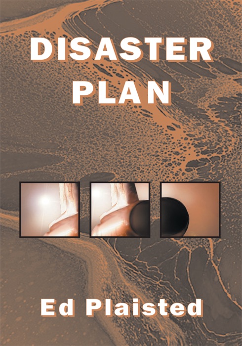 Disaster Plan