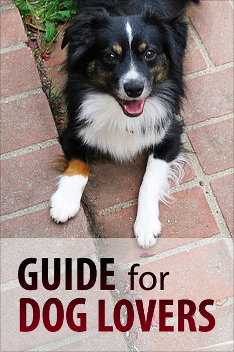 Guide for Dog Lovers