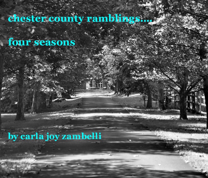 Chester County Ramblings.... Four Seasons