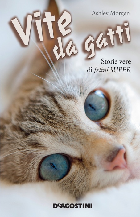 Vite da gatti