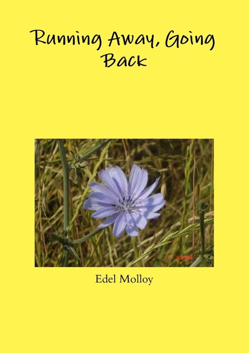 Running Away, Going Back