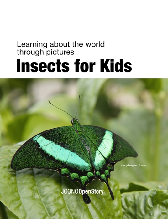 Insects for Kids