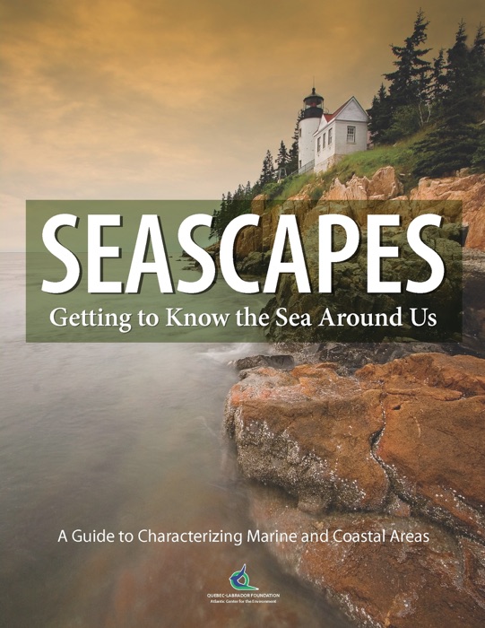 Seascapes