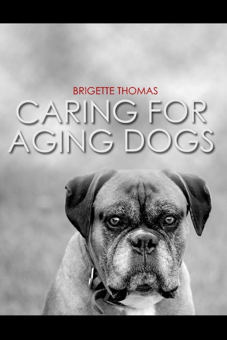Caring For Aging Dogs