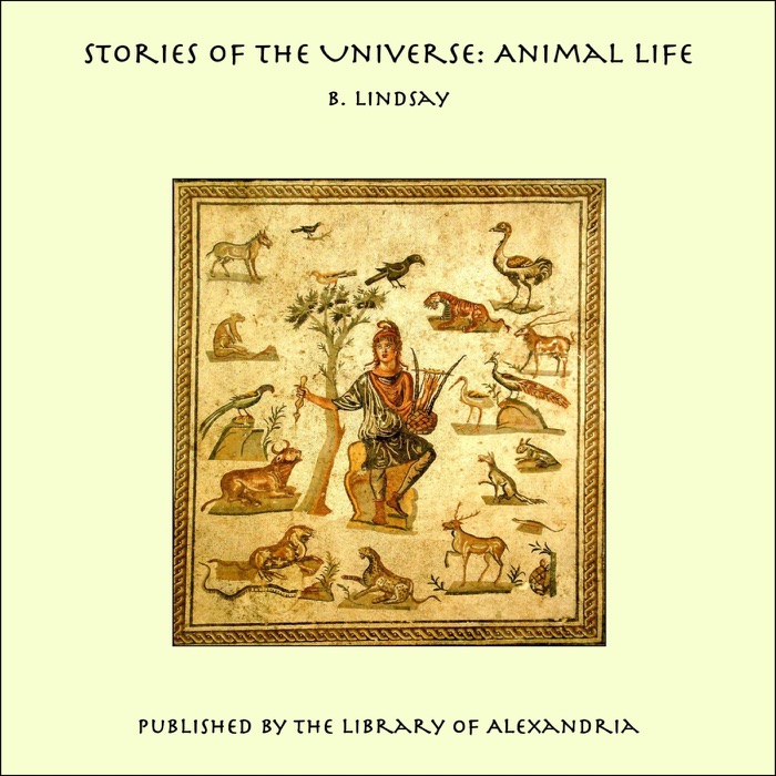 Stories of the Universe: Animal Life