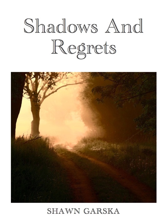 Shadows and Regrets