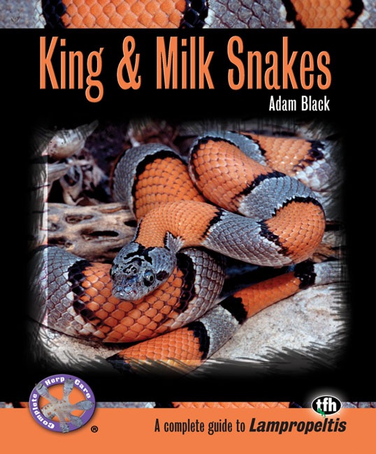 King & Milk Snakes