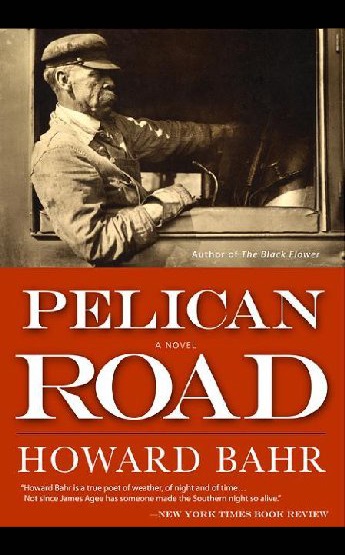 Pelican Road