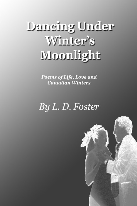 Dancing under Winter's Moonlight