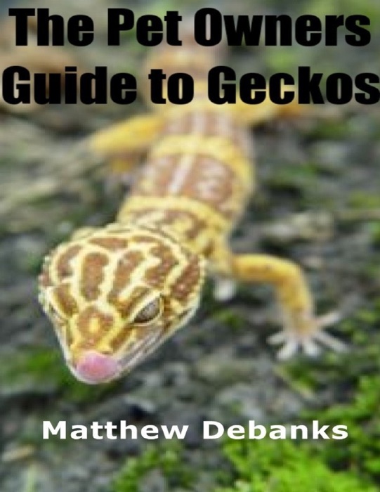 The Pet Owners Guide to Geckos