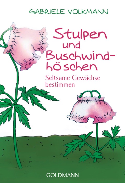 Stulpen und Buschwindhöschen