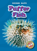 Puffer Fish - Colleen Sexton