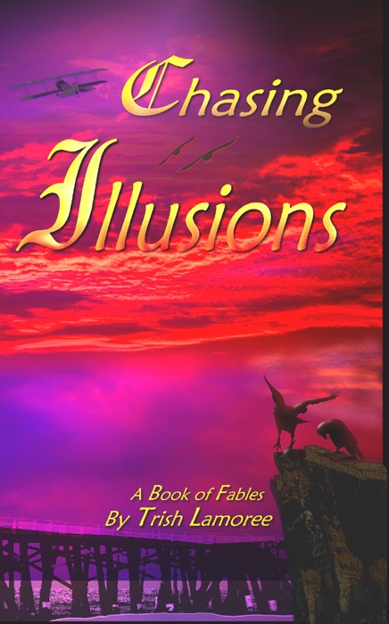 Chasing Illusions