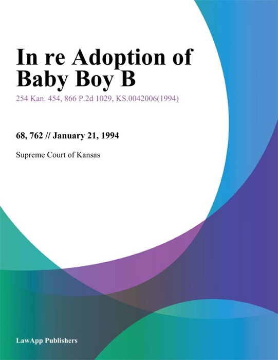 In re Adoption of Baby Boy B