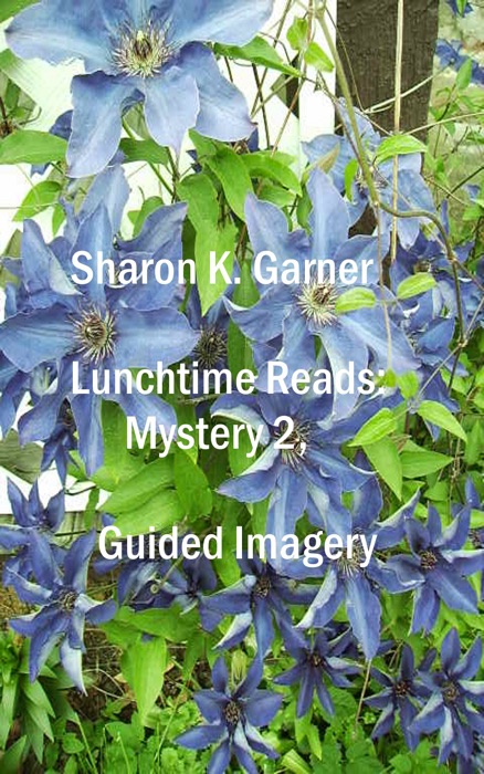 Lunchtime Reads: Mystery 2, Guided Imagery