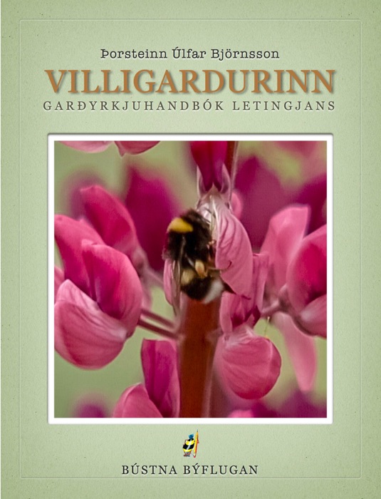 Villigarðurinn