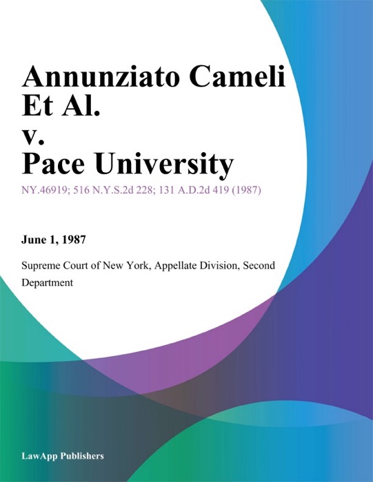 Annunziato Cameli Et Al. v. Pace University