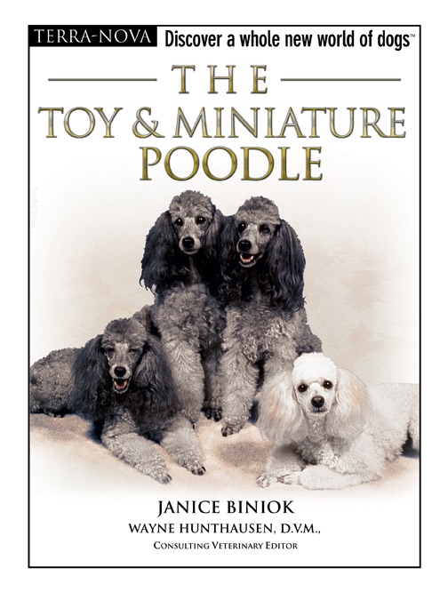 The Toy & Miniature Poodle