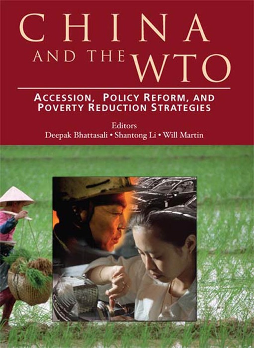 China and the WTO