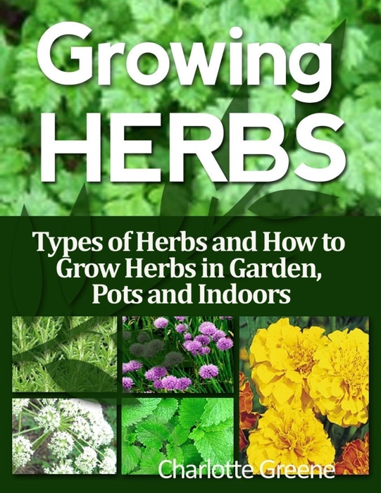 Growing Herbs