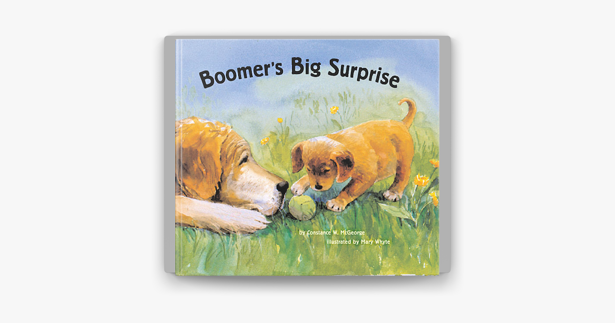 ‎Boomer's Big Surprise on Apple Books