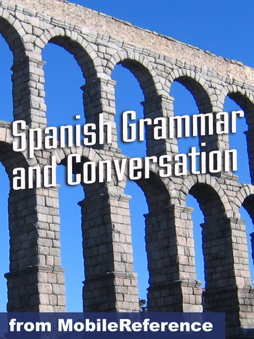 Spanish Grammar and Conversation Study Guide