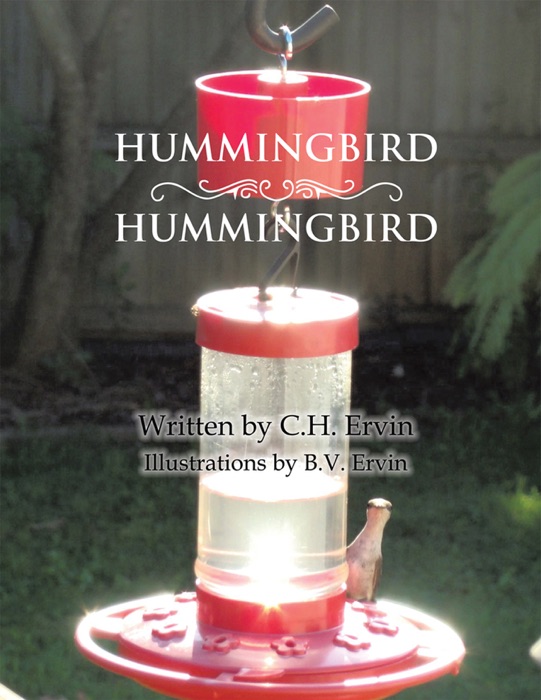Hummingbird, Hummingbird
