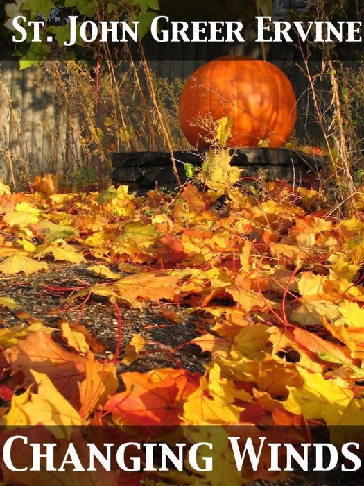 Changing Winds a Novel