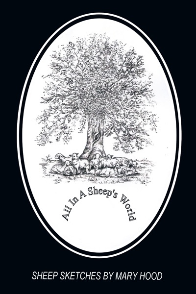 All In a Sheep's World