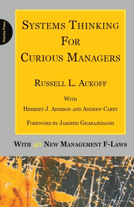 Systems Thinking for Curious Managers